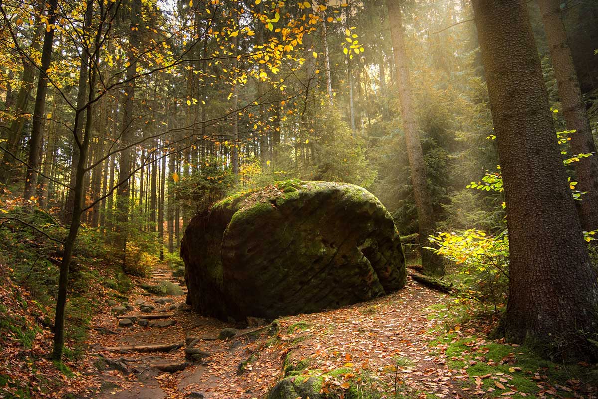 Romantische Wanderwege durch den Wald Romantische Wanderwege durch den Wald